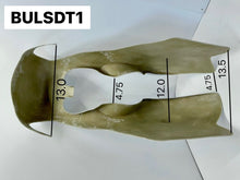 Load image into Gallery viewer, BULSDT1 - BULTACO TSS SINGL DOWN TUBE FAIRNG