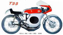 Load image into Gallery viewer, BULSDT1 - BULTACO TSS SINGL DOWN TUBE FAIRNG
