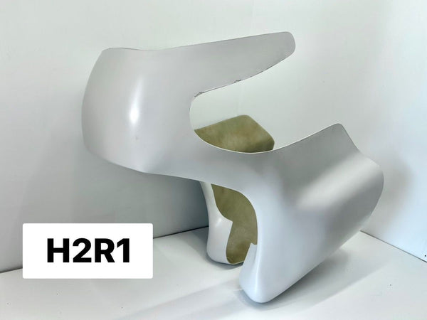H2R1 - 73 KAW H2R FAIRING