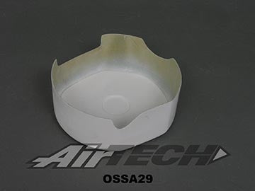 OSSA29