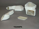 TZ250P6 - LOWER (R) AIR BOX W/ DUCT