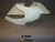 Air Tech AJSM5 AJS full race fairing