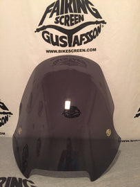 BMW F650 Sport 9in. Tall