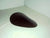 Jacwal Superwage Head Light Cover