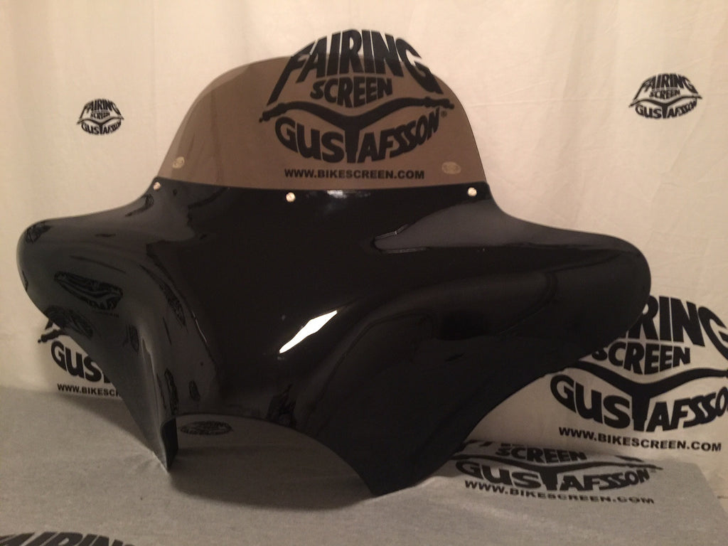 Batwing Fairing Screen (China)