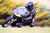 NYC Norton Kirby Low