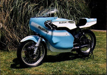 Load image into Gallery viewer, Suzuki TR 500