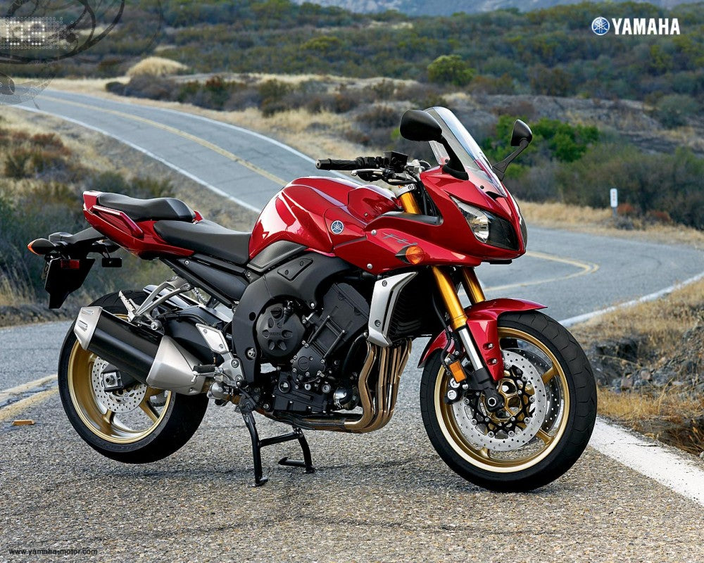 Yamaha Fazer 1000 2006 - 2007